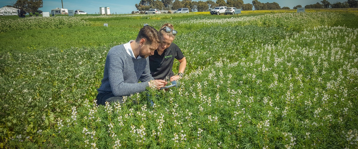 مهندسی کشاورزی در استرالیا